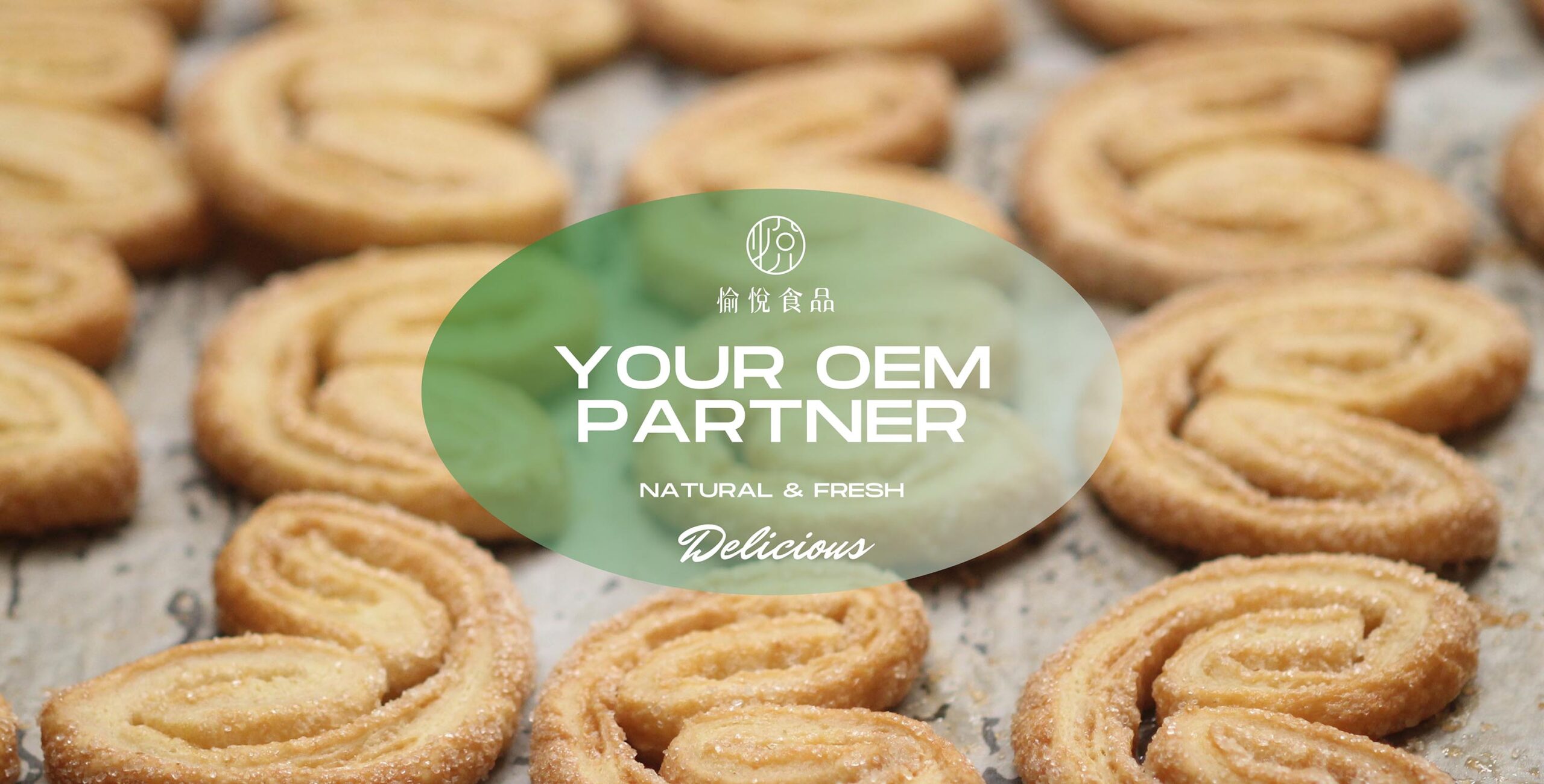 YOUR OEM Partner - 1